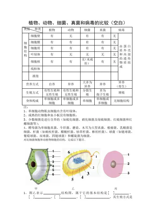 植物动物细菌病毒对比表