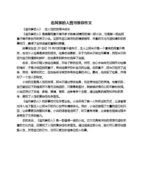 追风筝的人图书推荐作文