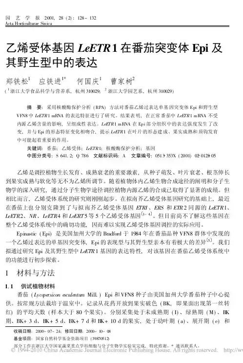 乙烯受体基因LeETR1 在番茄突变体Epi 及其野生型中的表达