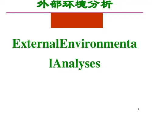 外部环境分析(ppt44张)
