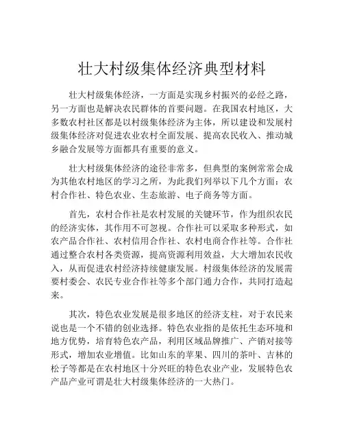 壮大村级集体经济典型材料