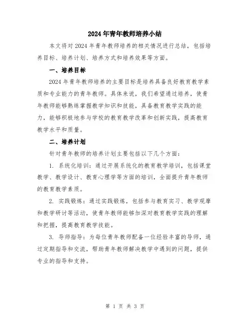 2024年青年教师培养小结