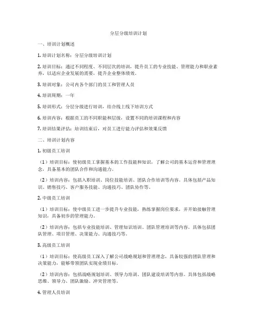 分层分级培训计划