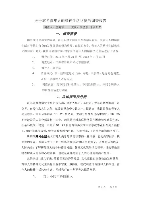 关于家乡青年人的精神生活状况的调查报告