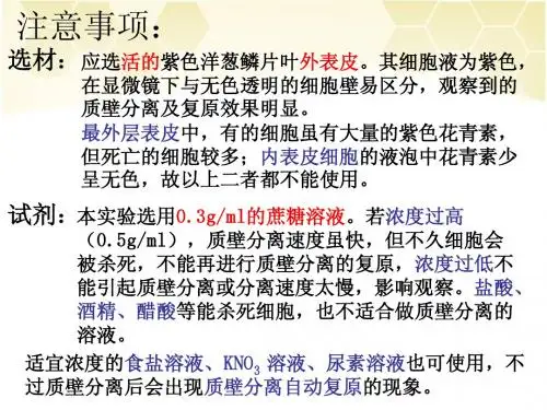 生物膜的流动镶嵌模型