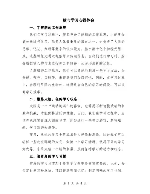 脑与学习心得体会