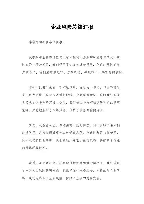 企业风险总结汇报
