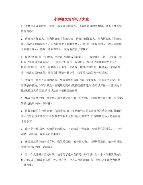 小学语文仿写句：小学语文仿写句式常考句子小升初必看句式
