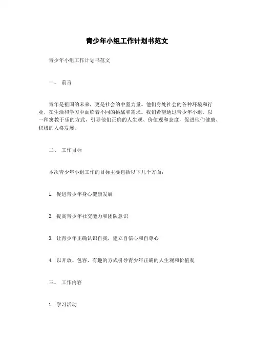 青少年小组工作计划书范文