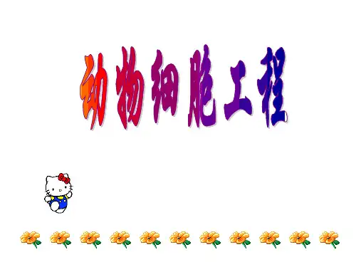 高中生物选修3(人教版)动物细胞工程课件