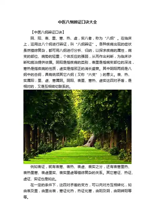 中医八纲辨证口诀大全
