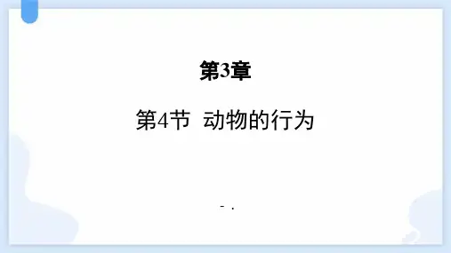 《动物的行为》PPT教学课件