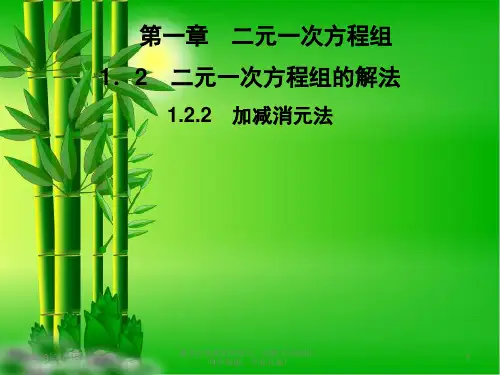 七年级数学下册第1章二元一次方程组二元一次方程组的解法12.2加减消元法习题课件