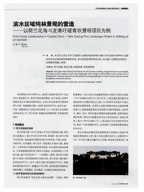 滨水区域纯林景观的营造—以荷兰花海斗龙港圩堤青坎景观项目为例