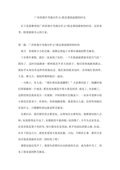广西贵港中考满分作文想念那段温暖的时光