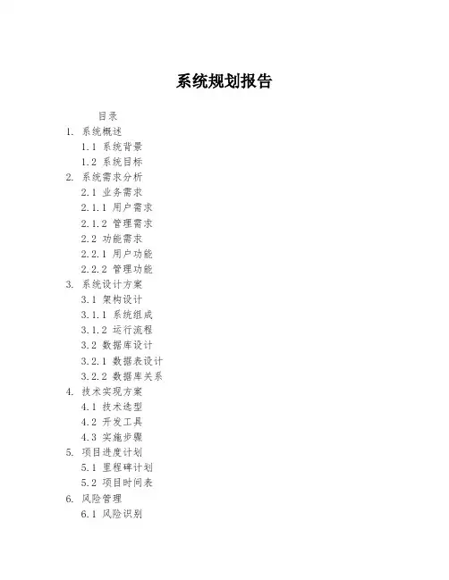 系统规划报告