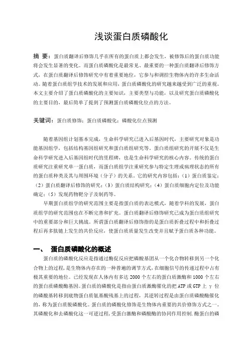 蛋白质磷酸化1