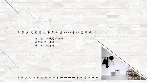 环境艺术设计    毕业设计ppt课件