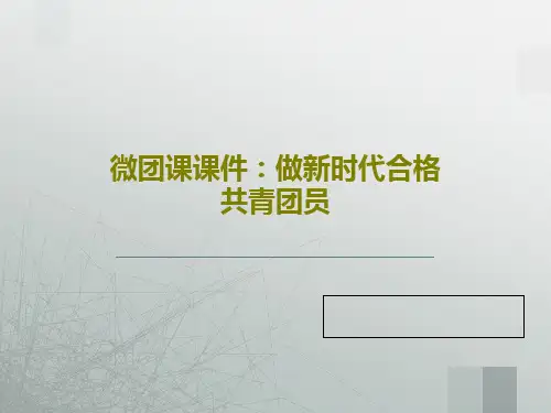 微团课课件：做新时代合格共青团员共27页