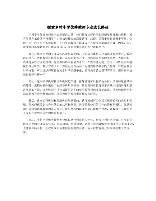 探索乡村小学优秀教师专业成长路径