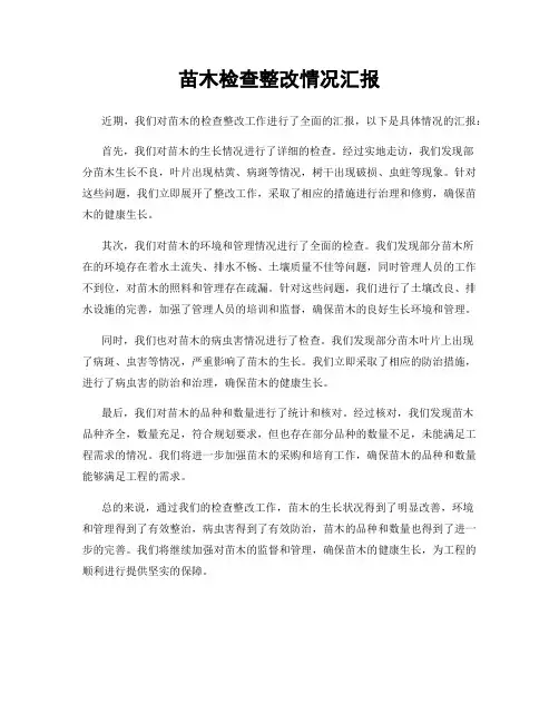 苗木检查整改情况汇报