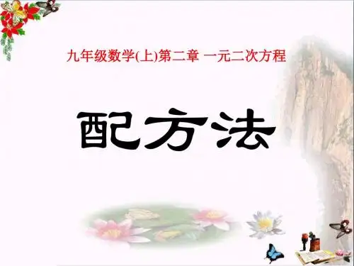《配方法》一元二次方程 精品PPT课件2(共11张)