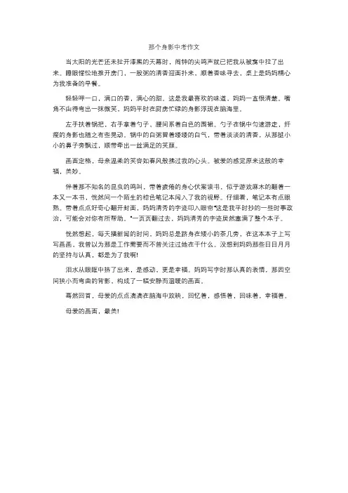 那个身影中考作文