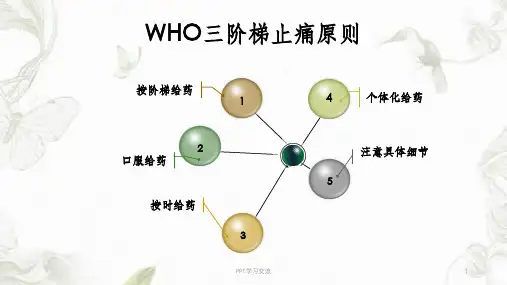 WHO三阶梯止痛及用药原则ppt课件