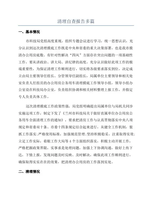 清理自查报告多篇