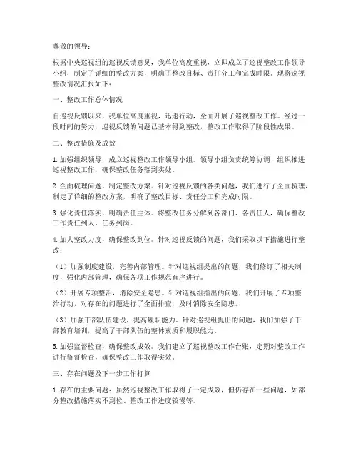 推动巡视整改情况汇报