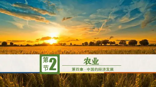 第四章第二节农业(第二课时)课件人教版八年级地理上册(共22张PPT,内嵌视频)