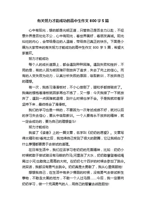 有关努力才能成功的高中生作文800字5篇