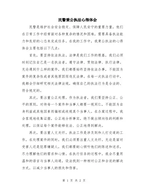 民警秉公执法心得体会