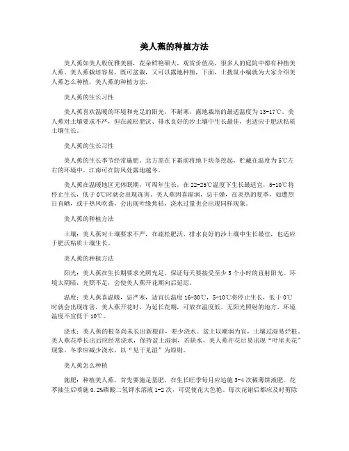 美人蕉的种植方法