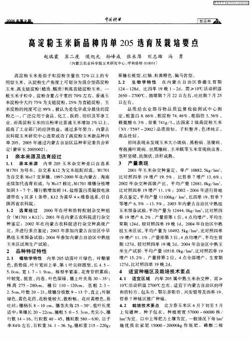 高淀粉玉米新品种内单205选育及栽培要点