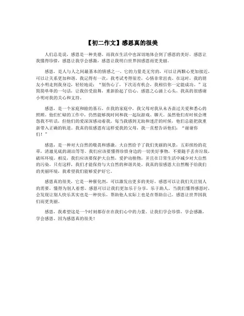 【初二作文】感恩真的很美
