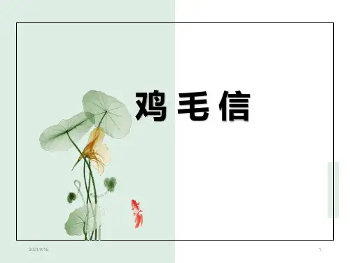 故事(鸡毛信)PPT课件