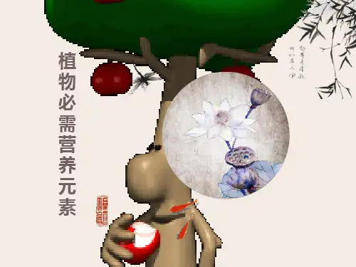 植物必需营养元素