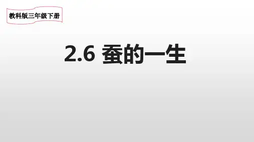 教科版三年级科学下册《蚕的一生》PPT课件