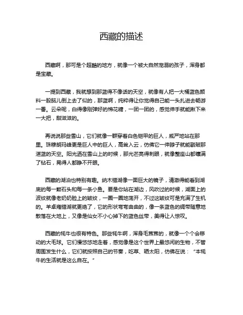 西藏的描述