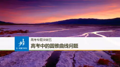 第九章 高考专题突破五(1)