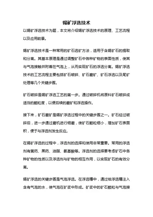 锡矿浮选技术