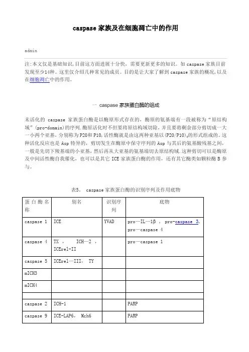 caspase家族及在细胞凋亡中的作用