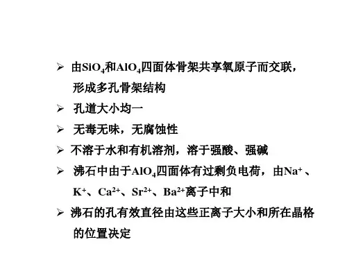 分子筛催化剂及其催化作用精华