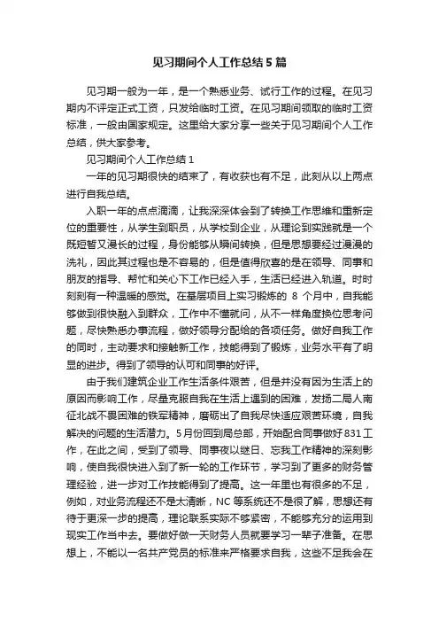 见习期间个人工作总结5篇
