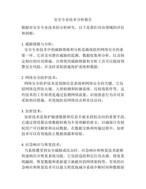 安全专业技术分析报告