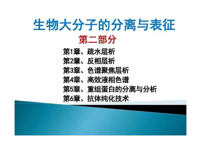 疏水层析
