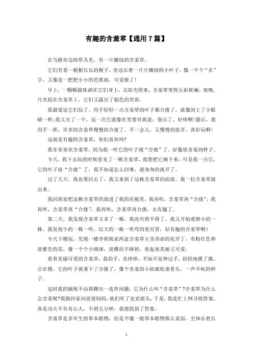 精选有趣的含羞草【通用7篇】