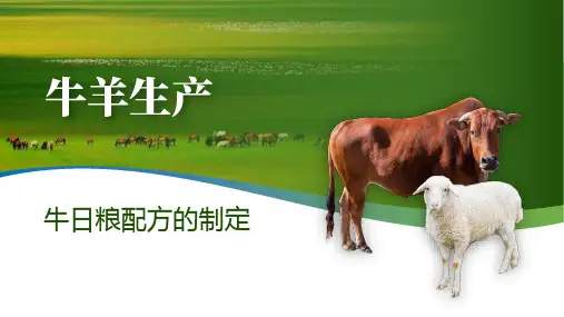 牛日粮配方的制定课件(共16张PPT)《牛羊生产》