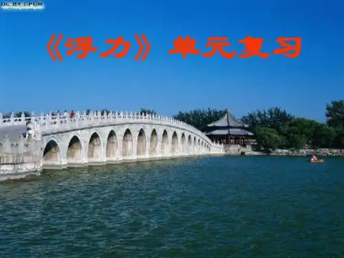 《浮力》复习PPT课件